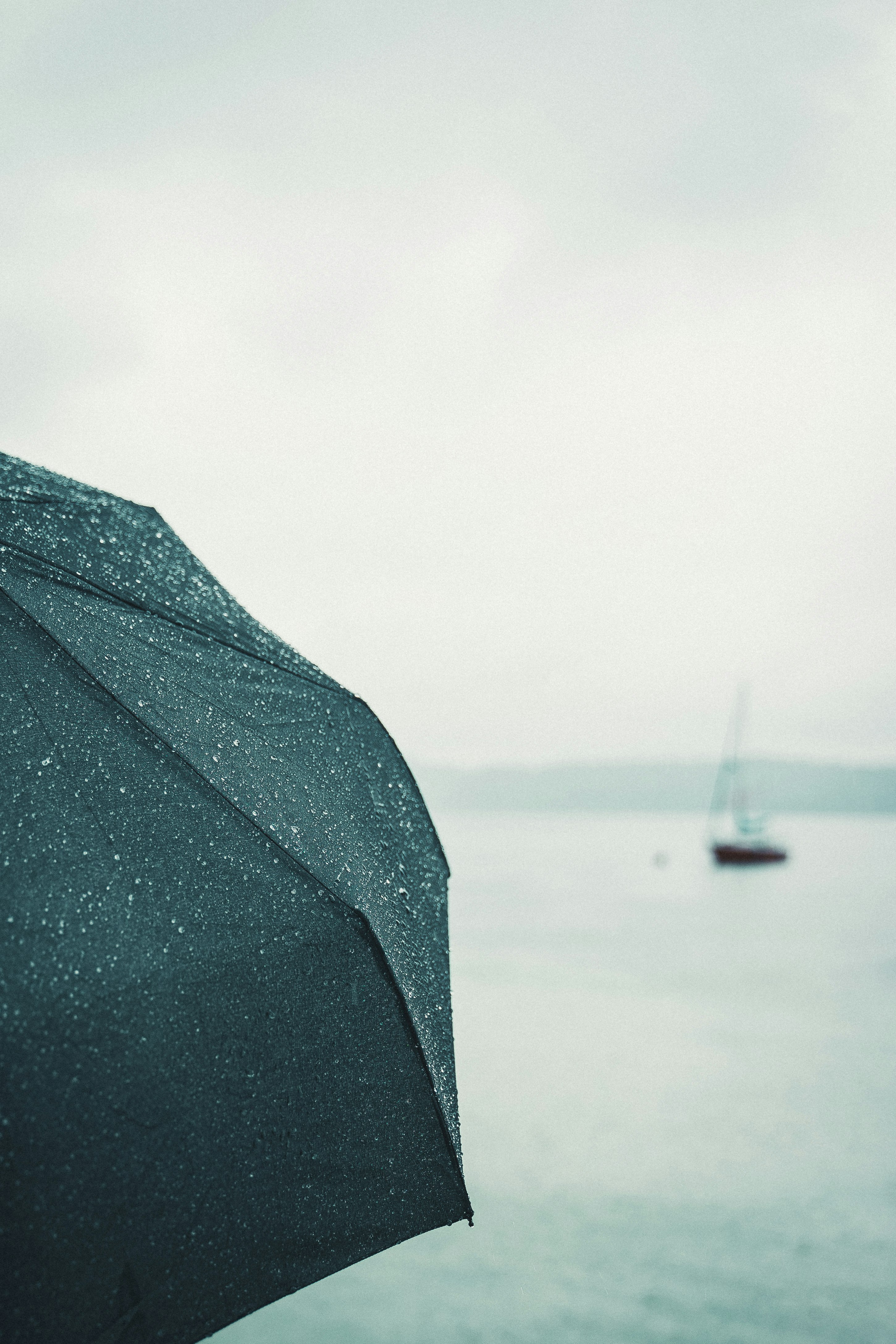 black umbrella near body of water during daytime